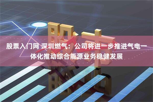 股票入门网 深圳燃气：公司将进一步推进气电一体化推动综合能源业务稳健发展